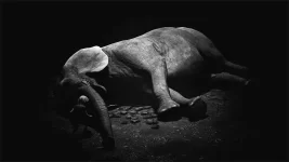 ayasa photo mode 6.webp